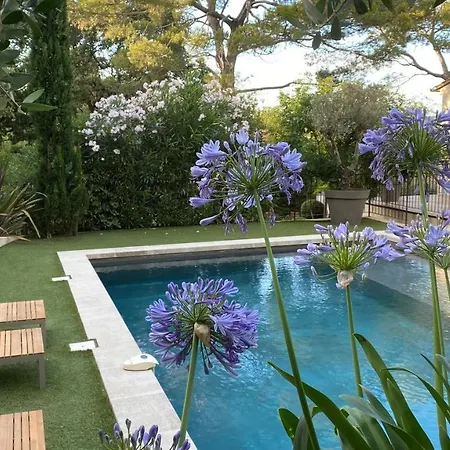 La Dupont D'avignon Villeneuve-lès-Avignon