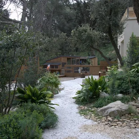 Bed & Breakfast La Dupont D'avignon 4*